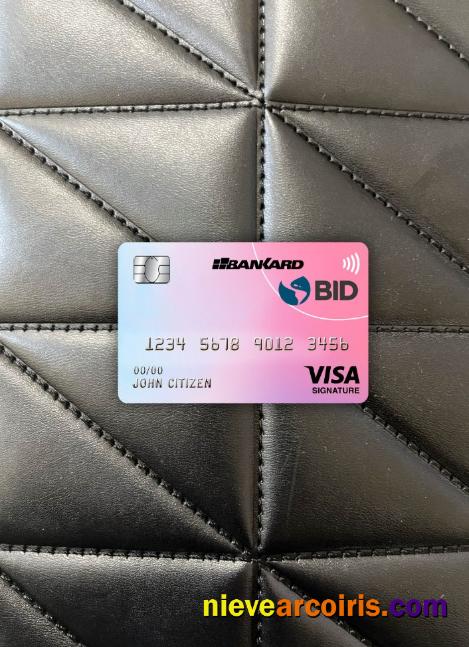 Ecuador Banco Interamericano de desarrollo (BID) bank visa signature card photolook